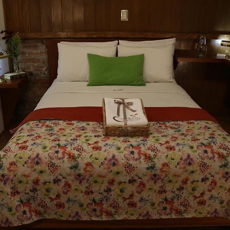 Chalet Del Carmen, Coyoacan メキシコシティ エクステリア 写真