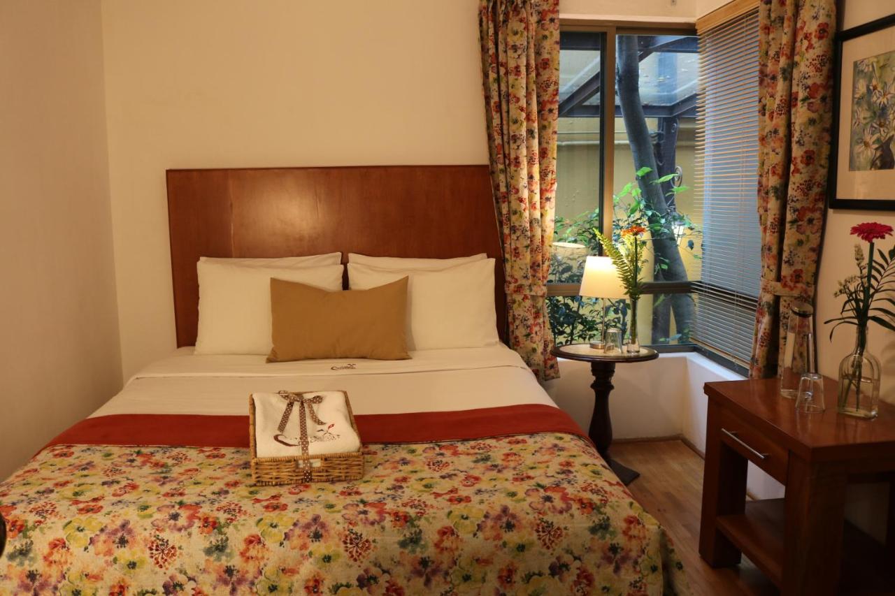 Chalet Del Carmen, Coyoacan メキシコシティ エクステリア 写真