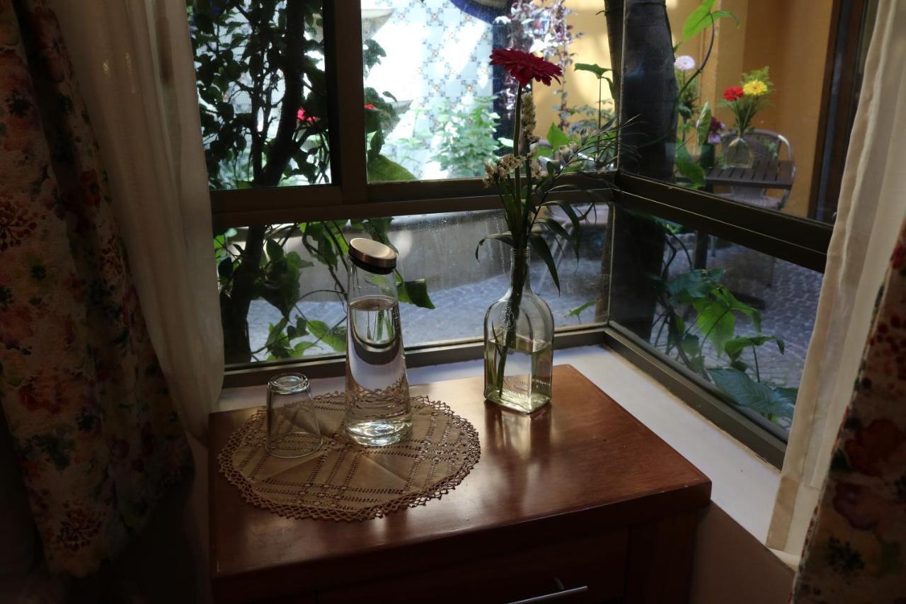 Chalet Del Carmen, Coyoacan メキシコシティ エクステリア 写真