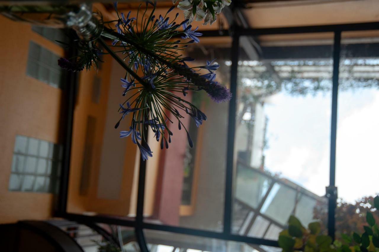 Chalet Del Carmen, Coyoacan メキシコシティ エクステリア 写真