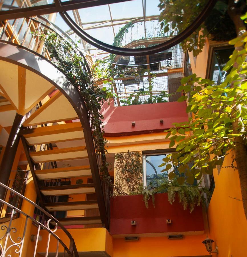 Chalet Del Carmen, Coyoacan メキシコシティ エクステリア 写真