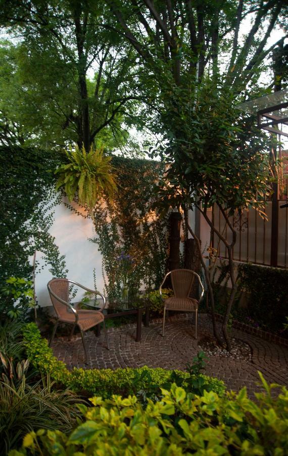 Chalet Del Carmen, Coyoacan メキシコシティ エクステリア 写真